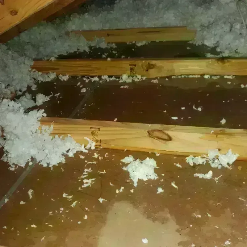 Attic Water Damage in Swanzey, NH